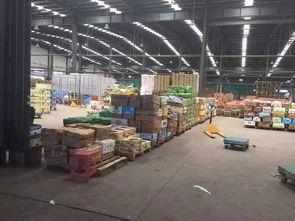 真实爆料批发市场视频,真实爆料视频背后的惊人内幕